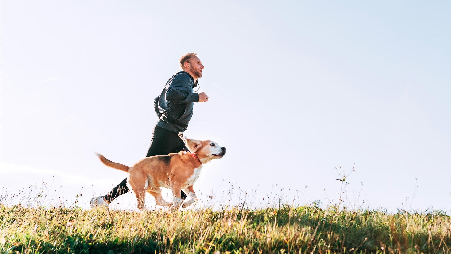 1920x1080_assurance_animaux_homme_chien_course_2.jpg